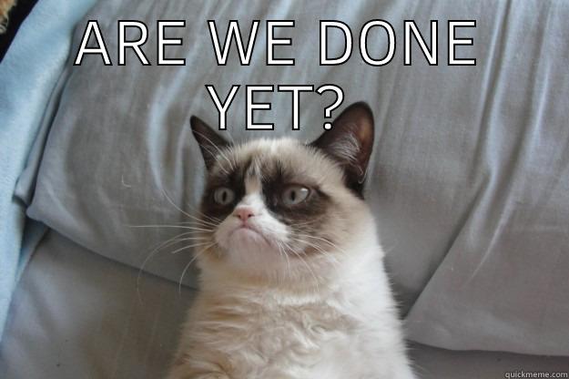 Are we done yet? - ARE WE DONE YET?  Grumpy Cat