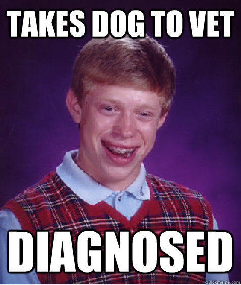 takes dog to vet diagnosed - takes dog to vet diagnosed  Bad Luck Brian