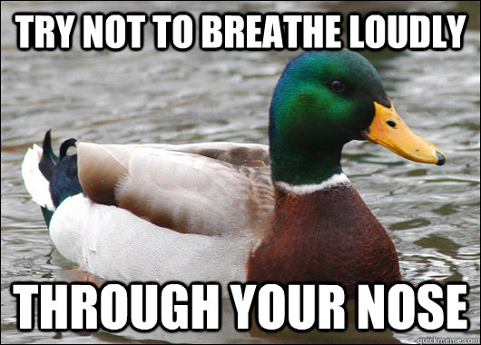 Try not to breathe loudly through your nose  Actual Advice Mallard