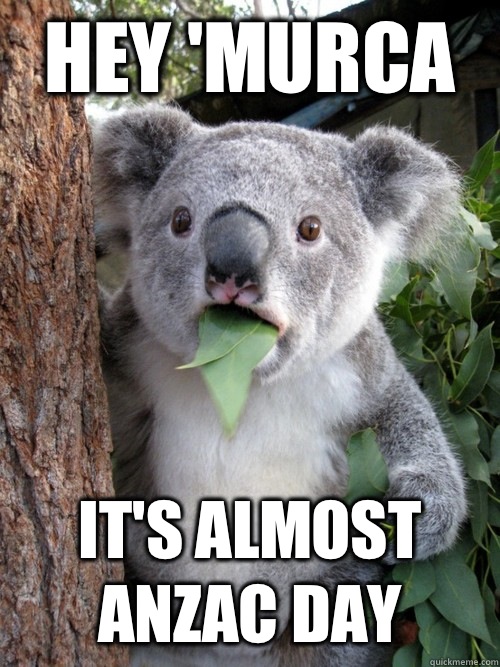 Hey 'murca It's almost Anzac Day  Surprised Koala