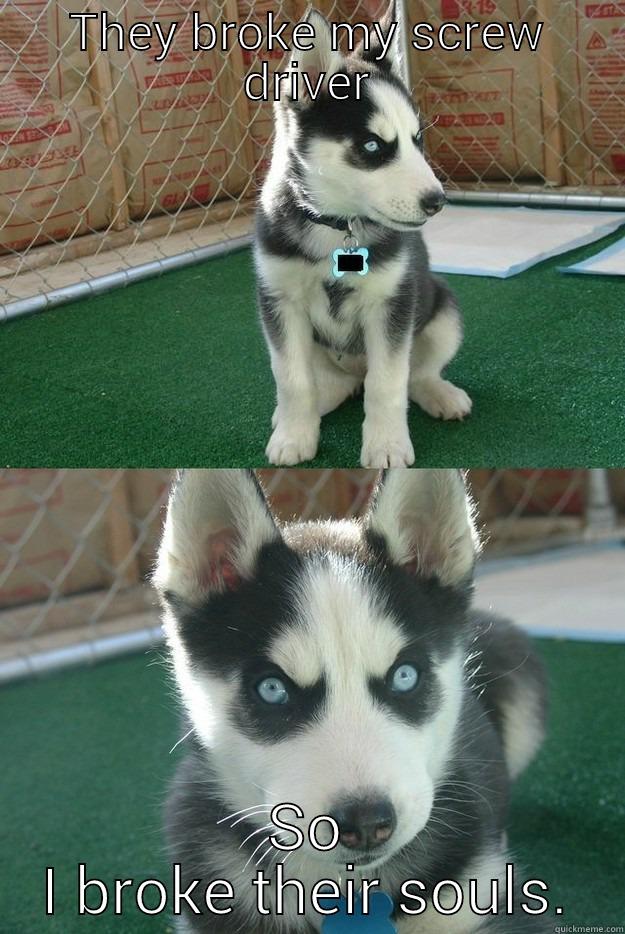 THEY BROKE MY SCREW DRIVER SO I BROKE THEIR SOULS. Insanity puppy