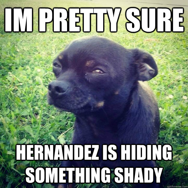 IM PRETTY SURE Hernandez is hiding something shady - IM PRETTY SURE Hernandez is hiding something shady  Skeptical Dog