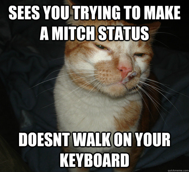 Sees you trying to make a mitch status doesnt walk on your keyboard  Cool Cat Craig