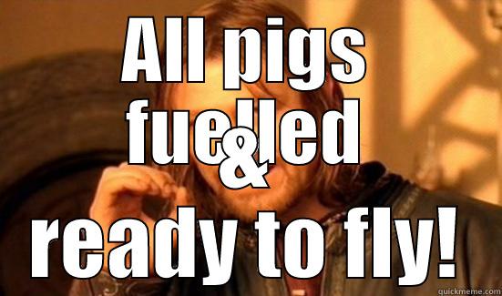 ALL PIGS FUELLED & READY TO FLY! Boromir