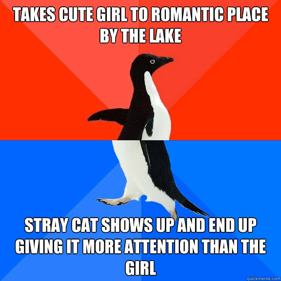 Takes cute girl to romantic place by the lake Stray cat shows up and end up giving it more attention than the girl   Socially Awesome Awkward Penguin