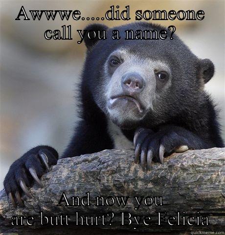 AWWWE.....DID SOMEONE CALL YOU A NAME? AND NOW YOU ARE BUTT HURT? BYE FELICIA Confession Bear