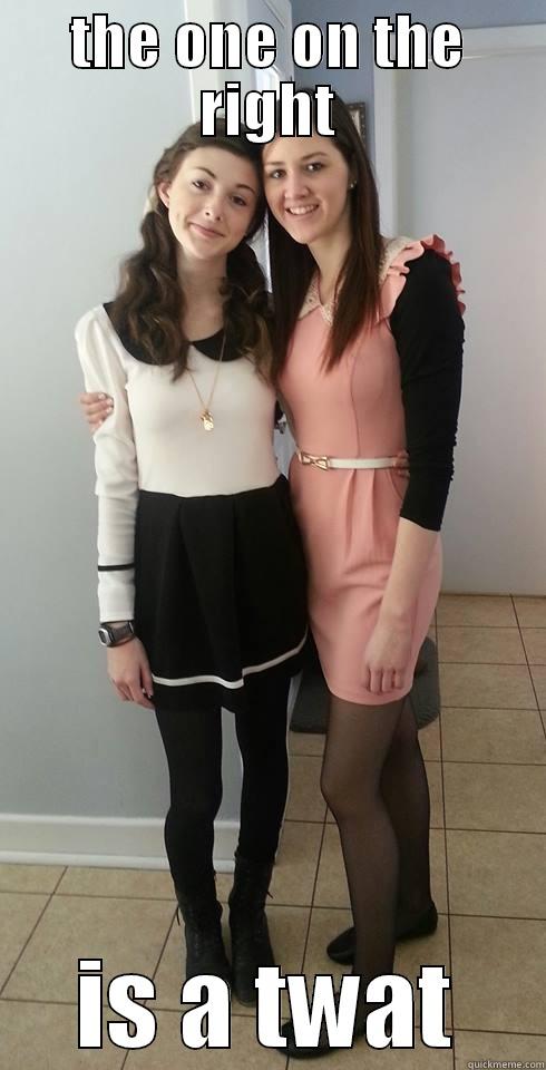THE ONE ON THE RIGHT IS A TWAT Misc