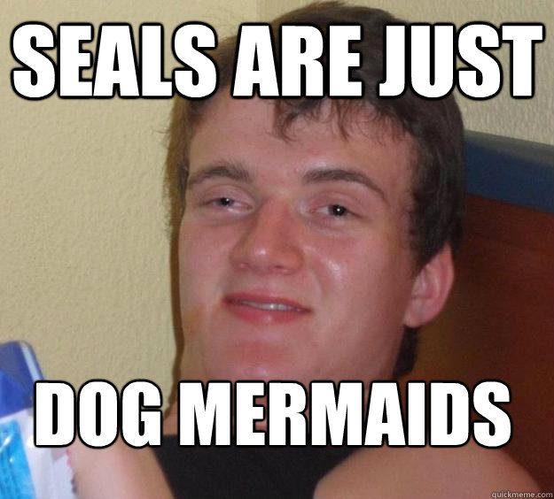 Seals are just dog mermaids
  10 Guy