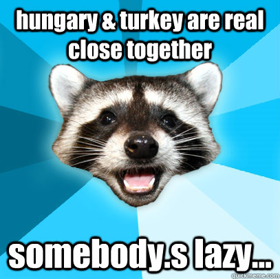 hungary & turkey are real close together somebody.s lazy...  Lame Pun Coon