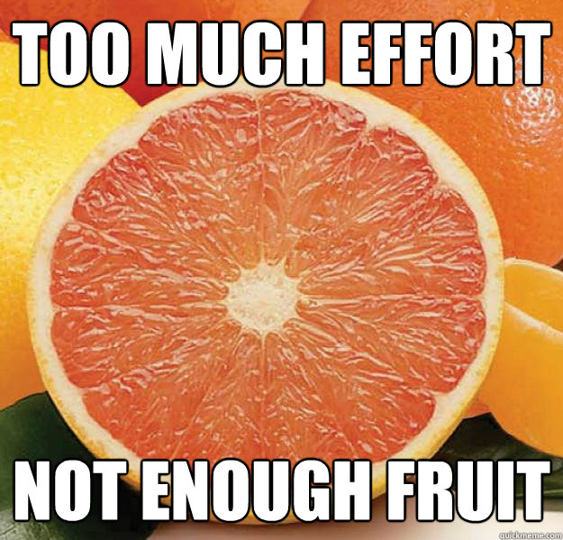 Too much effort not enough fruit  Grapefruit