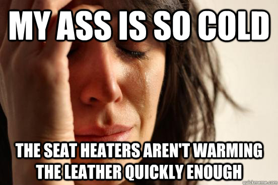 My ass is so cold the seat heaters aren't warming the leather quickly enough - My ass is so cold the seat heaters aren't warming the leather quickly enough  First World Problems
