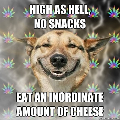 high as hell,
no snacks eat an inordinate amount of cheese  Stoner Dog