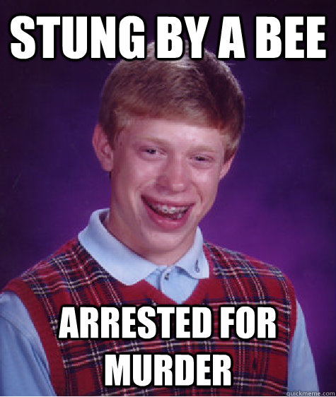 Stung by a bee arrested for murder  Bad Luck Brian
