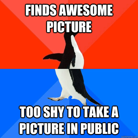 finds awesome picture too shy to take a picture in public  Socially Awesome Awkward Penguin