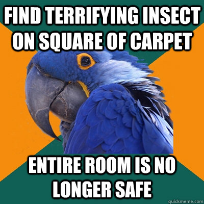 find terrifying insect on square of carpet entire room is no longer safe  Paranoid Parrot
