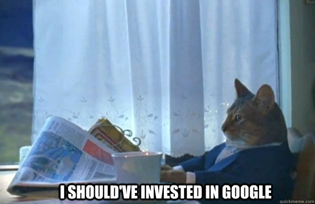 I should've invested in Google  Sophisticated Cat