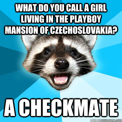 What do you call a girl living in the Playboy Mansion of Czechoslovakia? A Checkmate  - What do you call a girl living in the Playboy Mansion of Czechoslovakia? A Checkmate   Misc