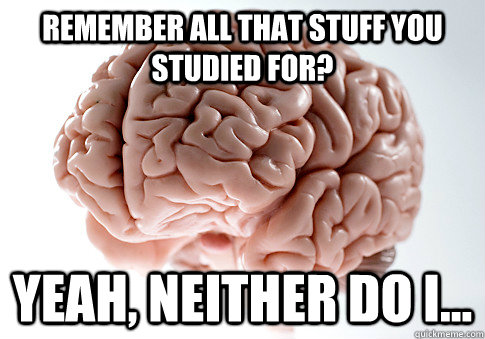 Remember all that stuff you studied for? Yeah, neither do I...  Scumbag Brain