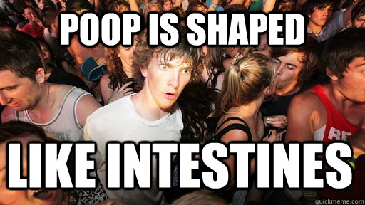 Poop is shaped like intestines  Sudden Clarity Clarence
