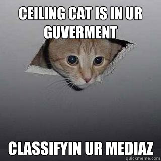 Ceiling cat is in ur guverment classifyin ur mediaz  Ceiling Cat