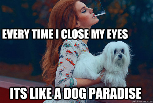 Every time i close my eyes Its like a dog paradise  