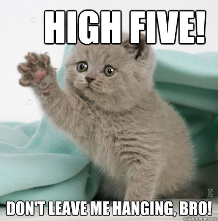 High five! Don't leave me hanging, bro! - High five! Don't leave me hanging, bro!  High Five Cat