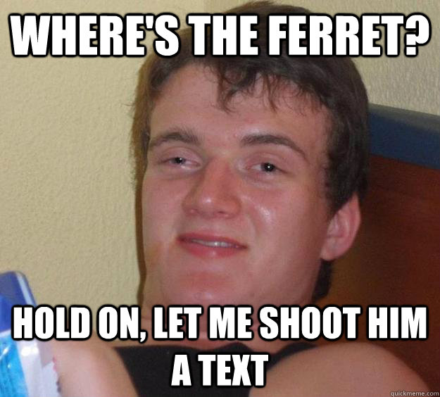 Where's the ferret? Hold on, let me shoot him a text  10 Guy