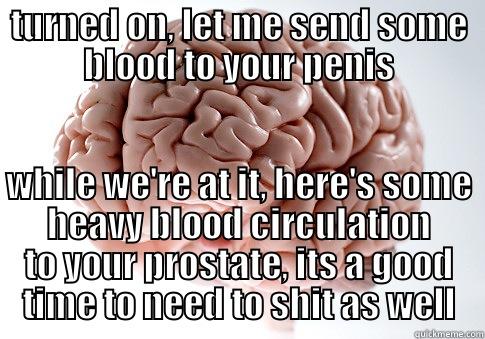 TURNED ON, LET ME SEND SOME BLOOD TO YOUR PENIS WHILE WE'RE AT IT, HERE'S SOME HEAVY BLOOD CIRCULATION TO YOUR PROSTATE, ITS A GOOD TIME TO NEED TO SHIT AS WELL Scumbag Brain