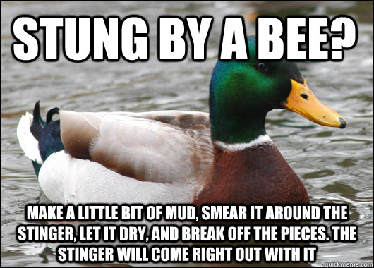 Stung by a bee? make a little bit of mud, smear it around the stinger, let it dry, and break off the pieces. The stinger will come right out with it  Actual Advice Mallard
