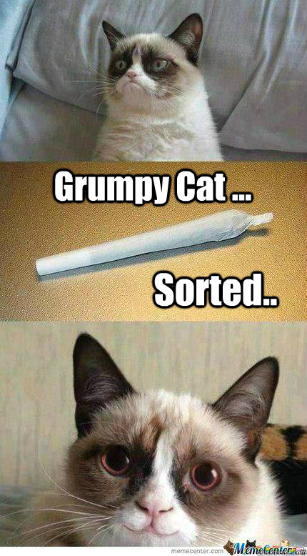 Grumpy Cat ...  Sorted.. - Grumpy Cat ...  Sorted..  Misc