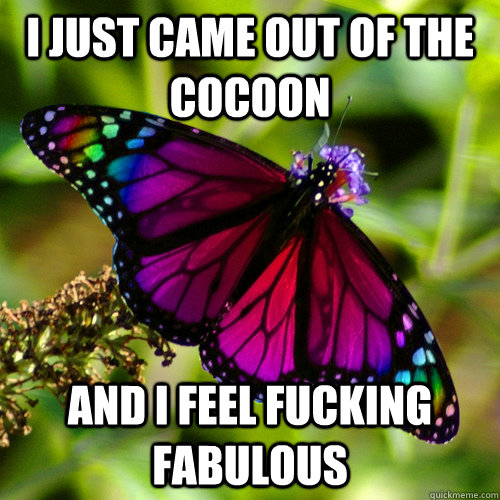 I just came out of the cocoon And i feel fucking fabulous  