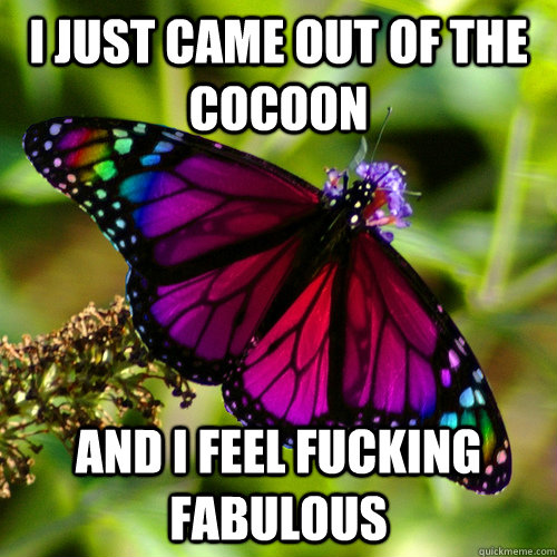 I just came out of the cocoon And i feel fucking fabulous  gay butterfly