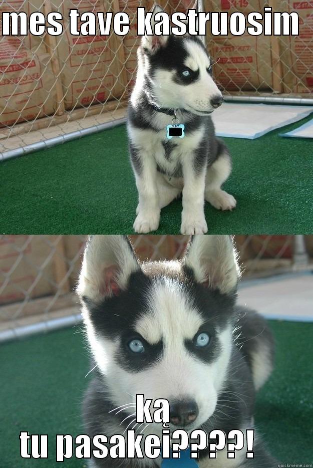 MES TAVE KASTRUOSIM   KĄ TU PASAKEI????!      Insanity puppy