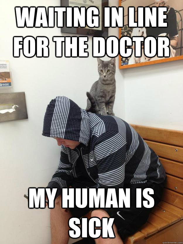 Waiting in line for the doctor My Human is sick - Waiting in line for the doctor My Human is sick  Misc