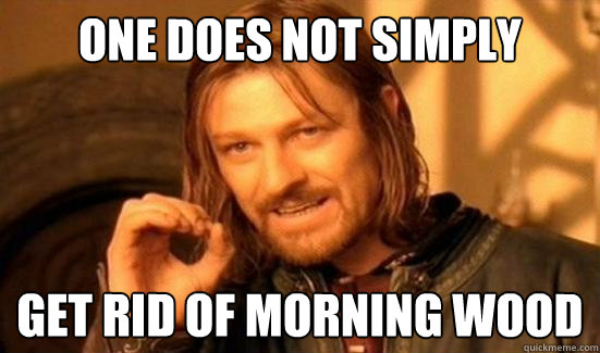 One Does Not Simply get rid of morning wood  Boromir