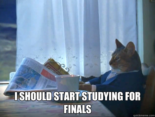  I should start studying for finals -  I should start studying for finals  The One Percent Cat