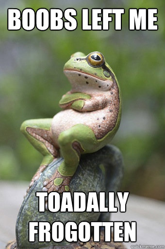 Boobs left me toadally frogotten - Boobs left me toadally frogotten  Unimpressed Frog