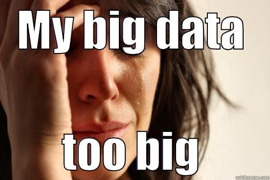 Big data - MY BIG DATA TOO BIG First World Problems