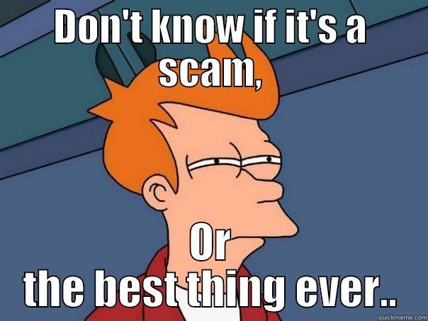 DON'T KNOW IF IT'S A SCAM, OR THE BEST THING EVER.. Futurama Fry