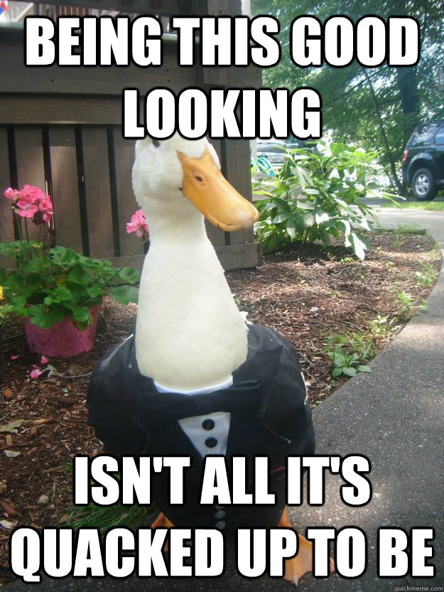 Being this good looking isn't all it's quacked up to be - Being this good looking isn't all it's quacked up to be  Misc