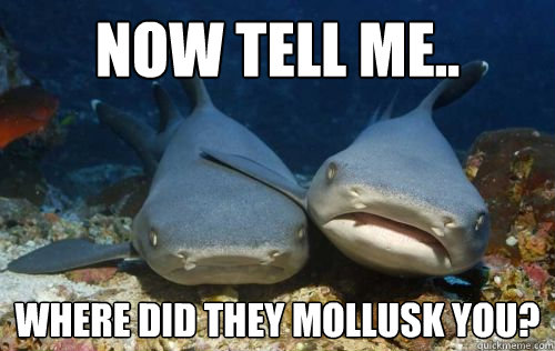 Now tell me.. Where did they mollusk you?  Compassionate Shark Friend