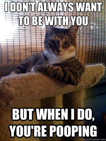 I don't always want to be with you but when i do, you're pooping  The Most Interesting Cat in the World