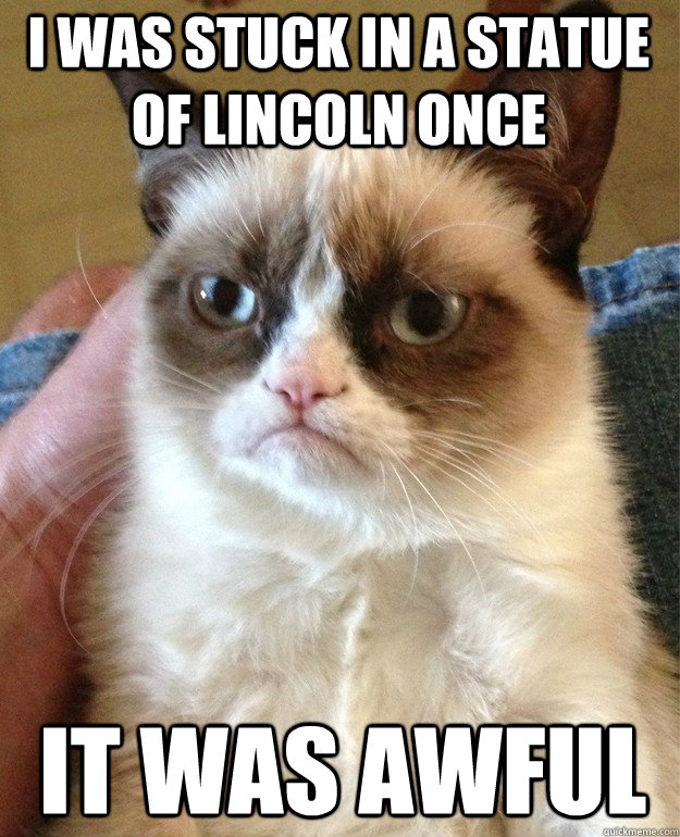 I was stuck in a statue of lincoln once it was awful  Grumpy Cat