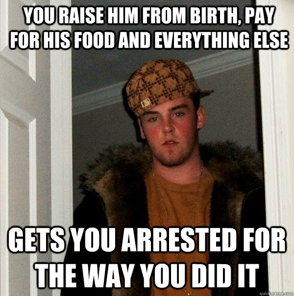 You raise him from birth, pay for his food and everything else Gets you arrested for the way you did it - You raise him from birth, pay for his food and everything else Gets you arrested for the way you did it  Scumbag Steve