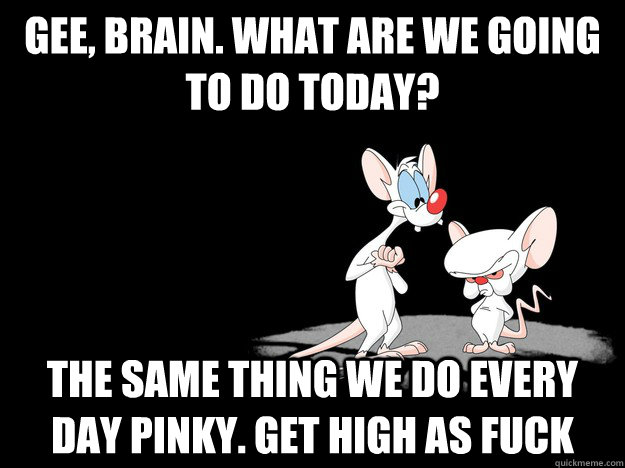 Gee, Brain. What are we going to do today? The same thing we do every day Pinky. Get high as fuck  