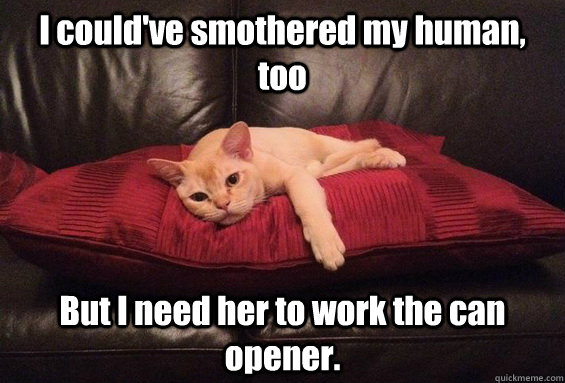 I could've smothered my human, too But I need her to work the can opener. - I could've smothered my human, too But I need her to work the can opener.  Disillusioned Cat