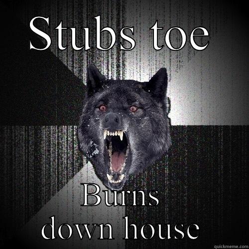 STUBS TOE BURNS DOWN HOUSE Insanity Wolf