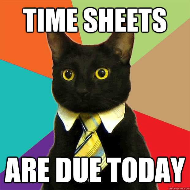 Time Sheets Are Due Today - Time Sheets Are Due Today  Business Cat