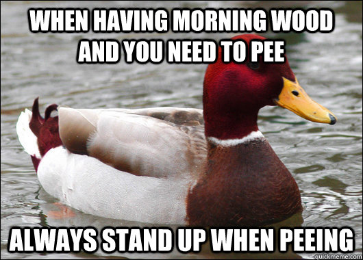 when having morning wood and you need to pee always stand up when peeing  Malicious Advice Mallard