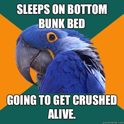 Sleeps on bottom bunk bed Going to get crushed alive.  Paranoid Parrot
